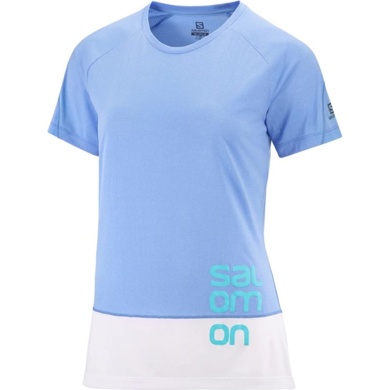 Camiseta Salomon Cross Run Gráficas Curta Sleeve Feminino Luz Azuis | PT F40592